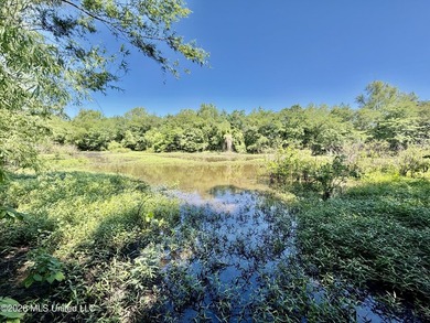 145+/- acres for sale in Coahoma County, located on Jenkins Road - photo 32