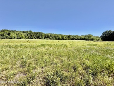 145+/- acres for sale in Coahoma County, located on Jenkins Road - photo 36