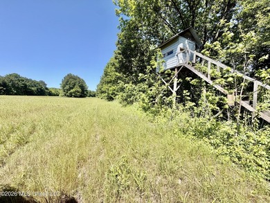 145+/- acres for sale in Coahoma County, located on Jenkins Road - photo 38