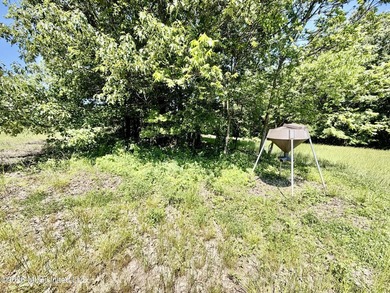 145+/- acres for sale in Coahoma County, located on Jenkins Road - photo 39