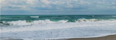 Live within walking distance to a pristine beach in this - photo 42