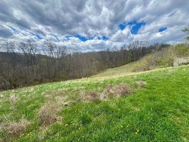 PRICE REDUCED TO $410,000-----MLS11688763-------209 Payne Ridge - photo 56
