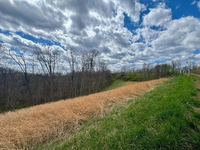 PRICE REDUCED TO $410,000-----MLS11688763-------209 Payne Ridge - photo 57