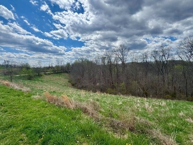 PRICE REDUCED TO $410,000-----MLS11688763-------209 Payne Ridge - photo 58
