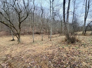 PRICE REDUCED TO $410,000-----MLS11688763-------209 Payne Ridge - photo 59