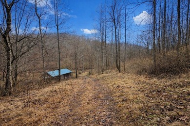 PRICE REDUCED TO $410,000-----MLS11688763-------209 Payne Ridge - photo 60