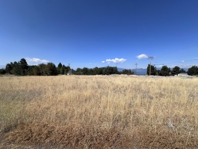 Agency Lake Lot For Sale in Chiloquin Oregon