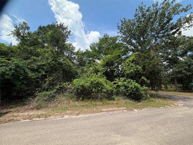 Lake Cypress Springs Lot For Sale in Scroggins Texas
