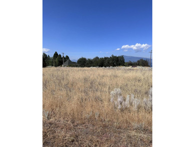 Beautiful Chiloquin vacant lot in the Oregon Shores Subdivisione - photo 2