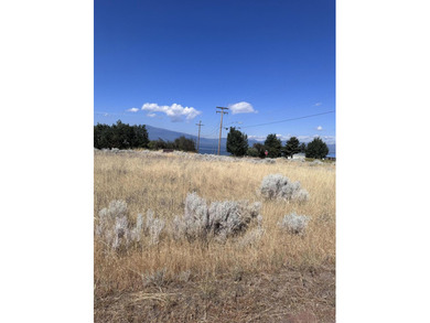 Beautiful Chiloquin vacant lot in the Oregon Shores Subdivisione - photo 3