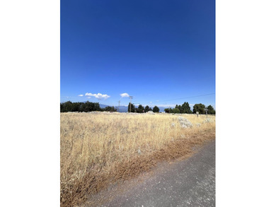 Beautiful Chiloquin vacant lot in the Oregon Shores Subdivisione - photo 4