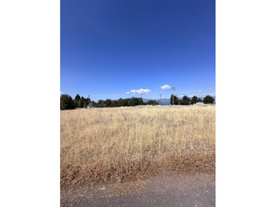 Beautiful Chiloquin vacant lot in the Oregon Shores Subdivisione - photo 5