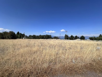 Beautiful Chiloquin vacant lot in the Oregon Shores Subdivisione - photo 6