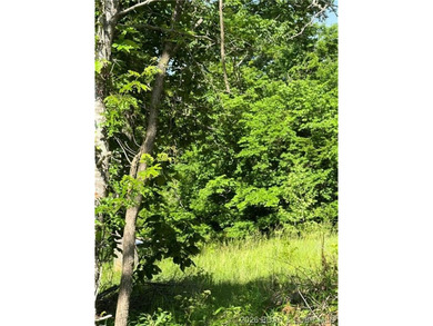 Build-Ready 5.75 Acres with Utilities! Bring your house plans - photo 2