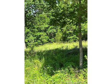 Build-Ready 5.75 Acres with Utilities! Bring your house plans - photo 4