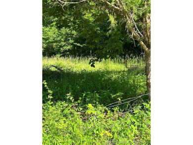 Build-Ready 5.75 Acres with Utilities! Bring your house plans - photo 5