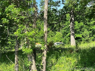 Build-Ready 5.75 Acres with Utilities! Bring your house plans - photo 7