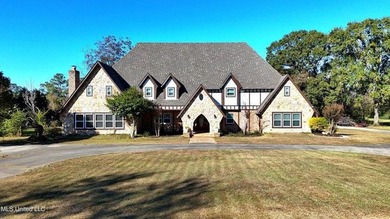 GORGEOUS ONE OF A KIND, CUSTOM Tudor home with plenty of space - photo 2