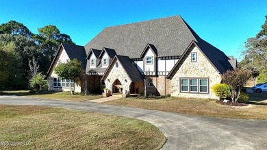 GORGEOUS ONE OF A KIND, CUSTOM Tudor home with plenty of space - photo 3