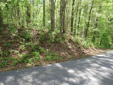 Lake Hartwell Lot For Sale in Fair Play South Carolina