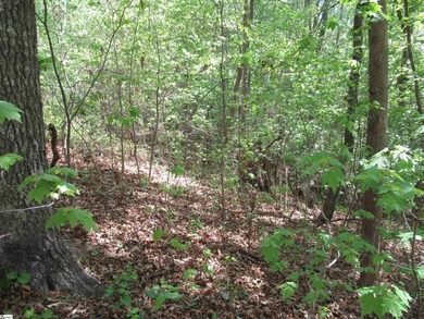 Interior lot (30) in Cherokee Bay. .84 acre Cherokee Bay is a - photo 4