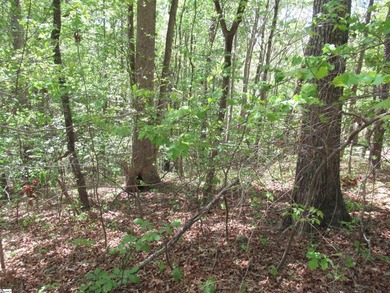Interior lot (30) in Cherokee Bay. .84 acre Cherokee Bay is a - photo 5