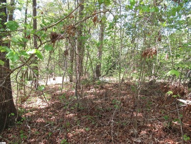 Interior lot (30) in Cherokee Bay. .84 acre Cherokee Bay is a - photo 6