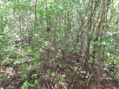 Interior lot (30) in Cherokee Bay. .84 acre Cherokee Bay is a - photo 7