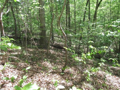 Interior lot (30) in Cherokee Bay. .84 acre Cherokee Bay is a - photo 8
