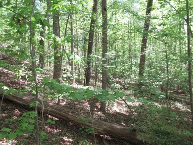 Interior lot (30) in Cherokee Bay. .84 acre Cherokee Bay is a - photo 9