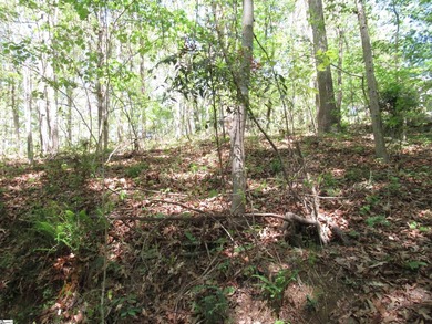Interior lot (30) in Cherokee Bay. .84 acre Cherokee Bay is a - photo 10