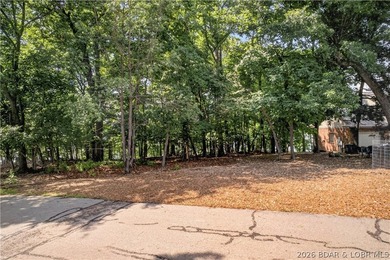 Discover the perfect setting for your dream lakefront estate in - photo 9