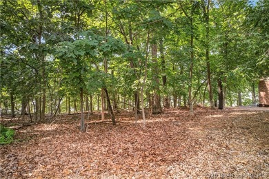 Discover the perfect setting for your dream lakefront estate in - photo 10