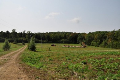 Northport - Lot ready to build on. Well Septic, Power ( Power is - photo 10