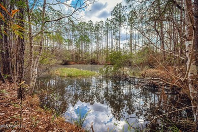 Discover exceptional potential with this 3 bedroom, 2 bath home - photo 46