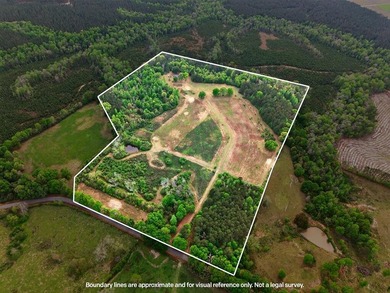 43.76 acres located in Pearl River County offering a private - photo 1