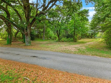 43.76 acres located in Pearl River County offering a private - photo 3