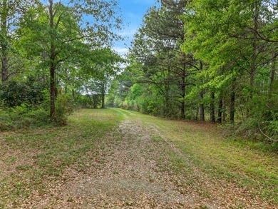 43.76 acres located in Pearl River County offering a private - photo 6