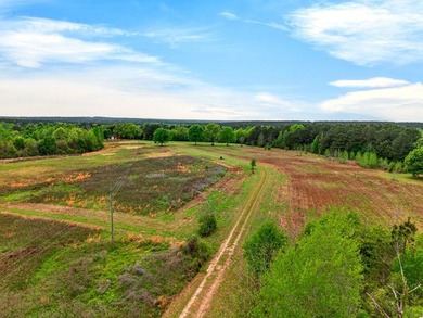 43.76 acres located in Pearl River County offering a private - photo 7