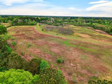 43.76 acres located in Pearl River County offering a private - photo 8