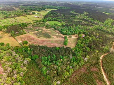43.76 acres located in Pearl River County offering a private - photo 9
