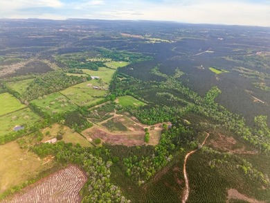 43.76 acres located in Pearl River County offering a private - photo 10