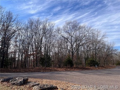Looking for privacy without giving up convenience? This property - photo 4