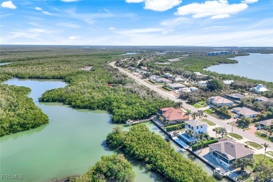 Welcome to your waterfront, DIRECT GULF ACCESS (no bridges) - photo 43