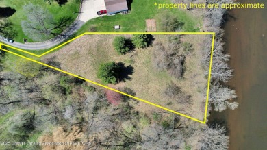 (private lake, pond, creek) Lot For Sale in Dimondale Michigan