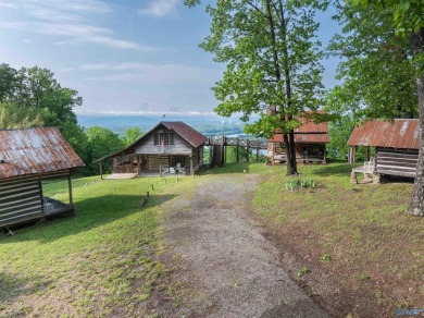 Lake Home For Sale in Dutton, Alabama