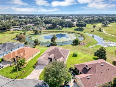 (private lake, pond, creek) Home For Sale in Leesburg Florida