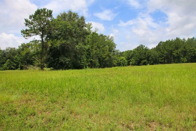 (private lake, pond, creek) Acreage Sale Pending in Lamont Florida