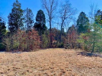 Perfect lot for your dream home in beautiful Cedar Ridge! - Lake Lot For Sale in Morristown, Tennessee