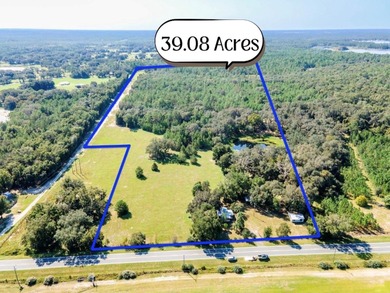 (private lake, pond, creek) Home For Sale in Fort Mccoy Florida